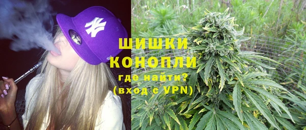 дживик Арсеньев