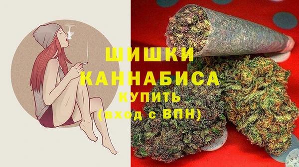 дживик Арсеньев